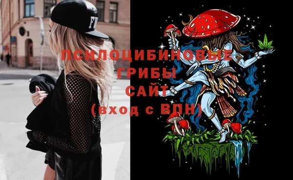метадон Алексин